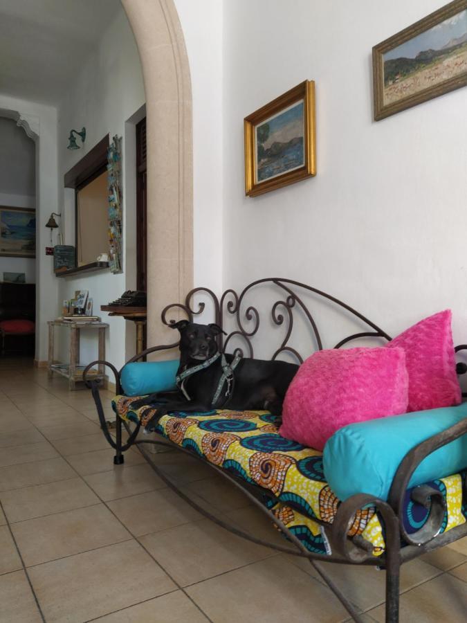 Casa de hóspedes Bellavista *